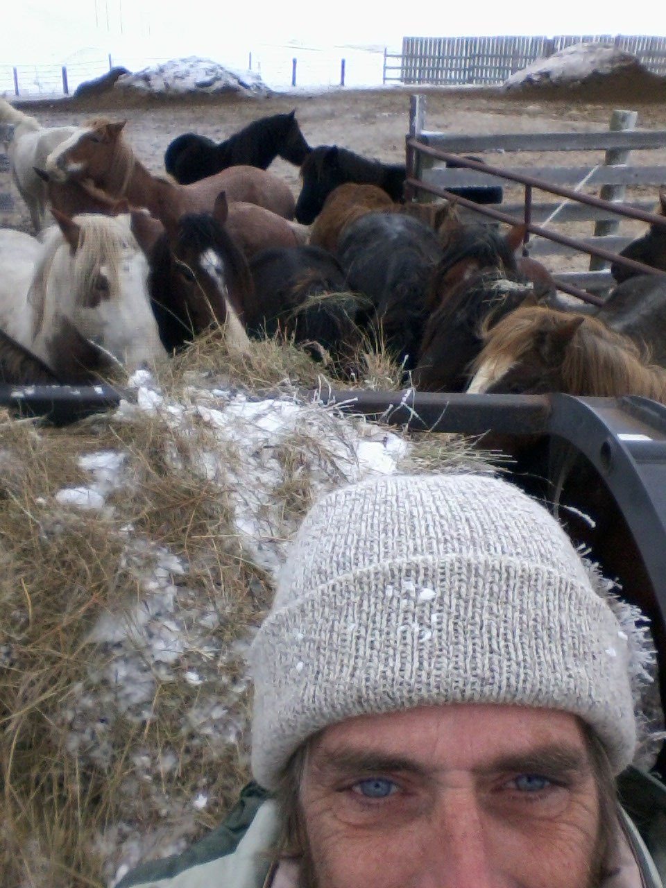 2015-12-25 14.17.31.jpg image